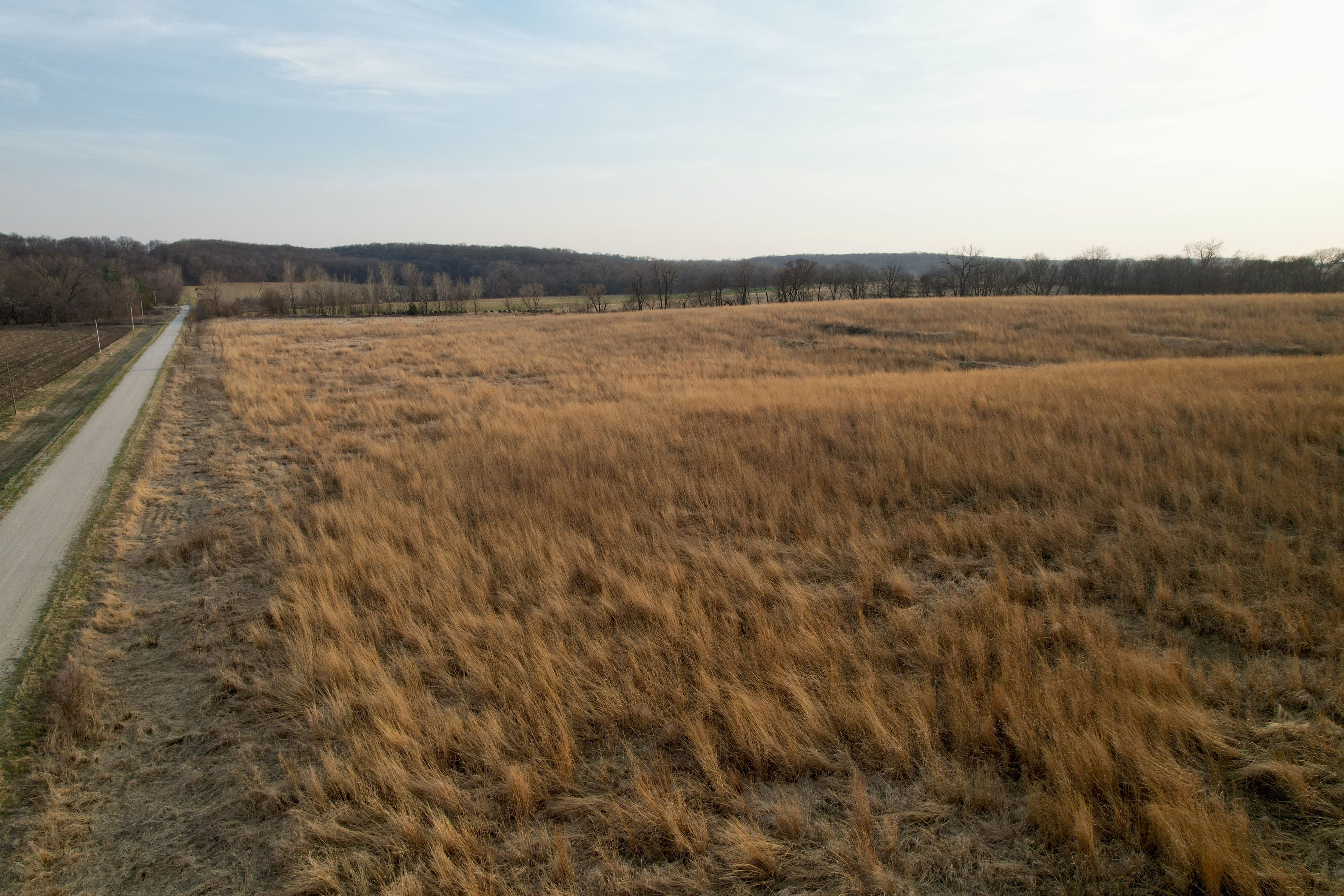 Listing Photo: Photo Mar 25 2026, 6 43 51 PM